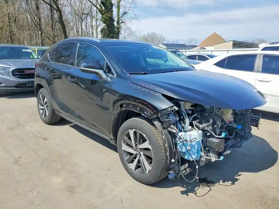 JTJBARBZ6K2197119 2019 LEXUS NX-3