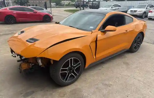 1FA6P8CFXK5196514 2019 FORD MUSTANG-1