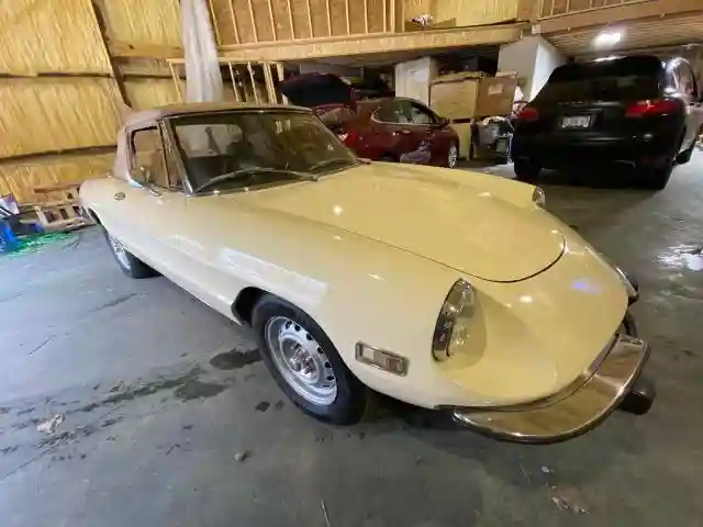 AR3041681 1973 ALFA ROMEO SPIDER-0