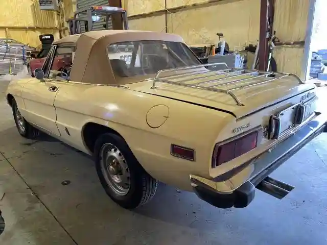 AR3041681 1973 ALFA ROMEO SPIDER-2