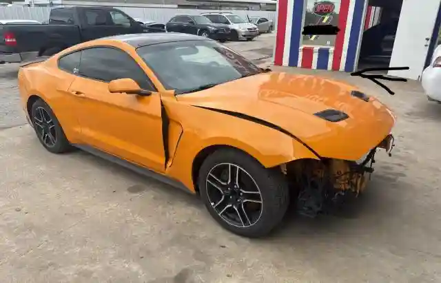1FA6P8CFXK5196514 2019 FORD MUSTANG-0