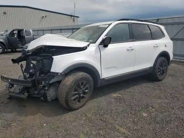 5XYP5DGC4PG374459 2023 KIA TELLURIDE-0