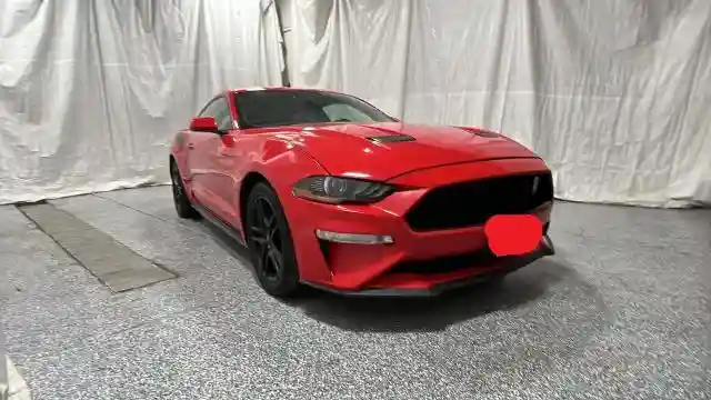 1FA6P8CF8K5118569 2019 FORD MUSTANG-0