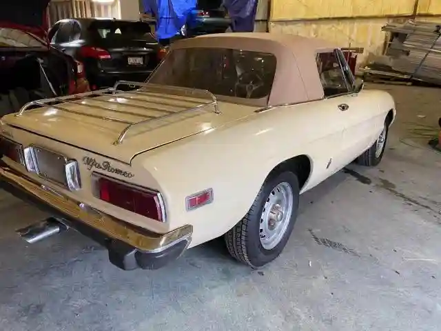 AR3041681 1973 ALFA ROMEO SPIDER-3