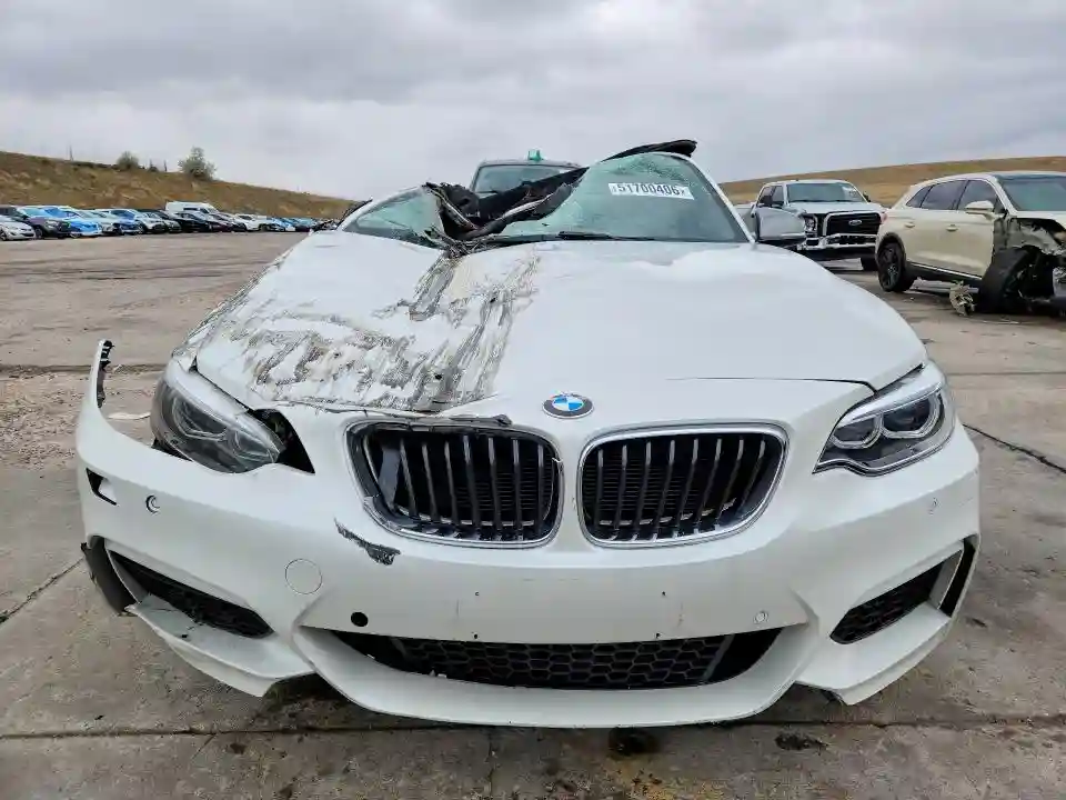 WBA1M1C53FV393281 2015 BMW M2-4