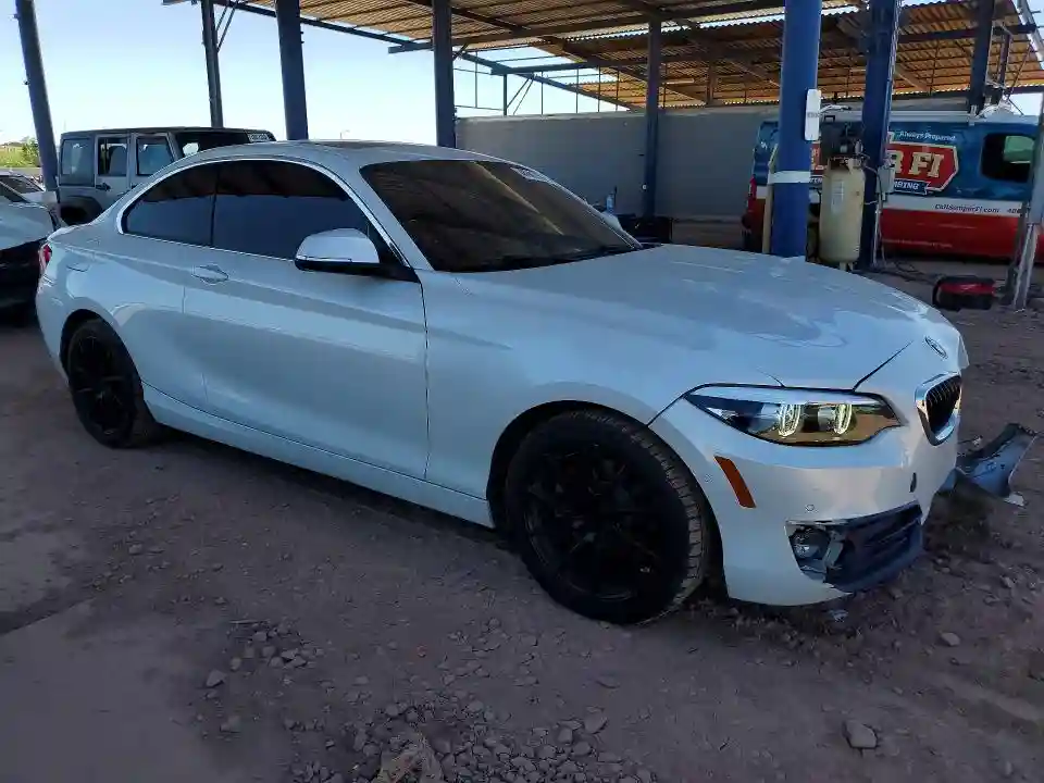 WBA2J3C54KVD49117 2019 BMW 2 SERIES-3
