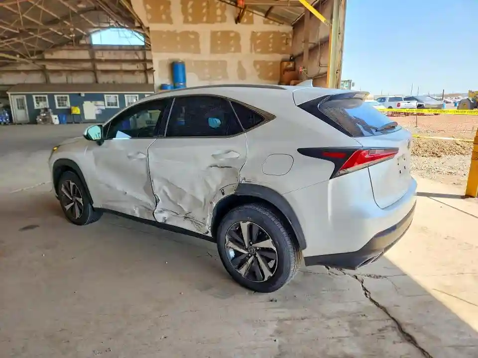 JTJDARBZXL5012000 2020 LEXUS NX-1