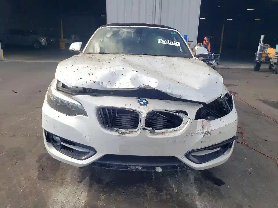 WBA1K9C59GV321748 2016 BMW 2 SERIES-4