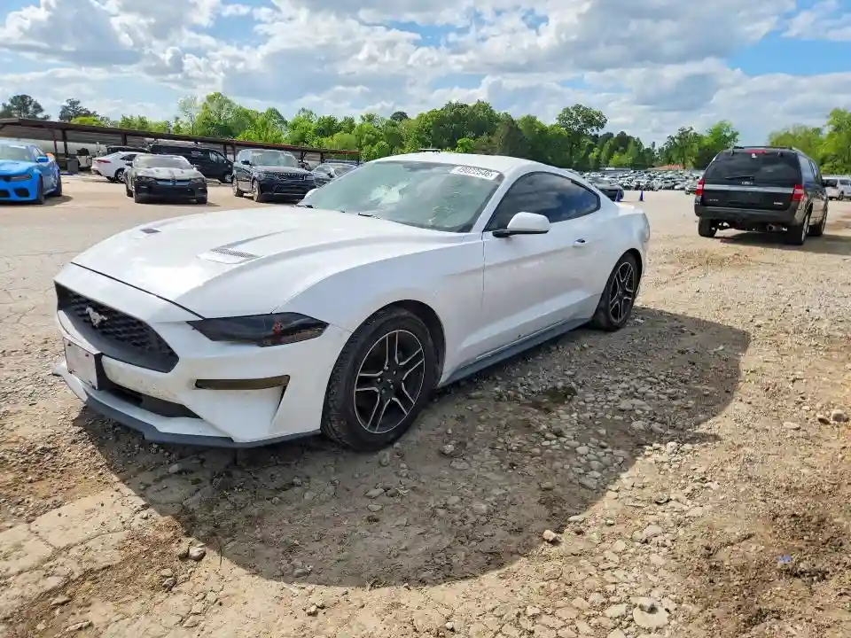 1FA6P8TH3K5169642 2019 FORD MUSTANG-0