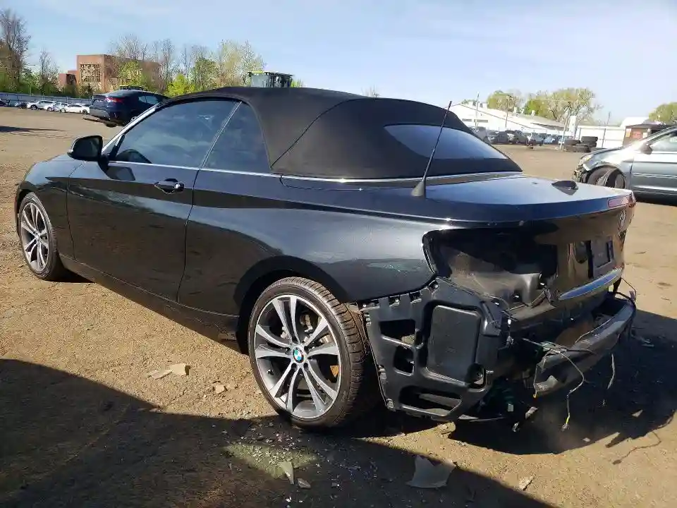 WBA1K5C50FV242850 2015 BMW 2 SERIES-1