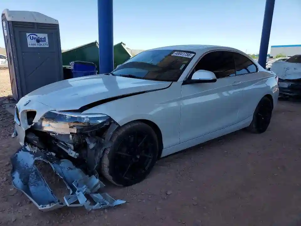 WBA2J3C54KVD49117 2019 BMW 2 SERIES-0