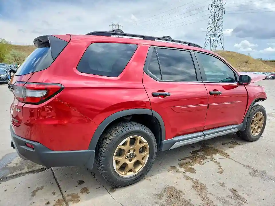 5FNYG1H60RB041529 2024 HONDA PILOT-2