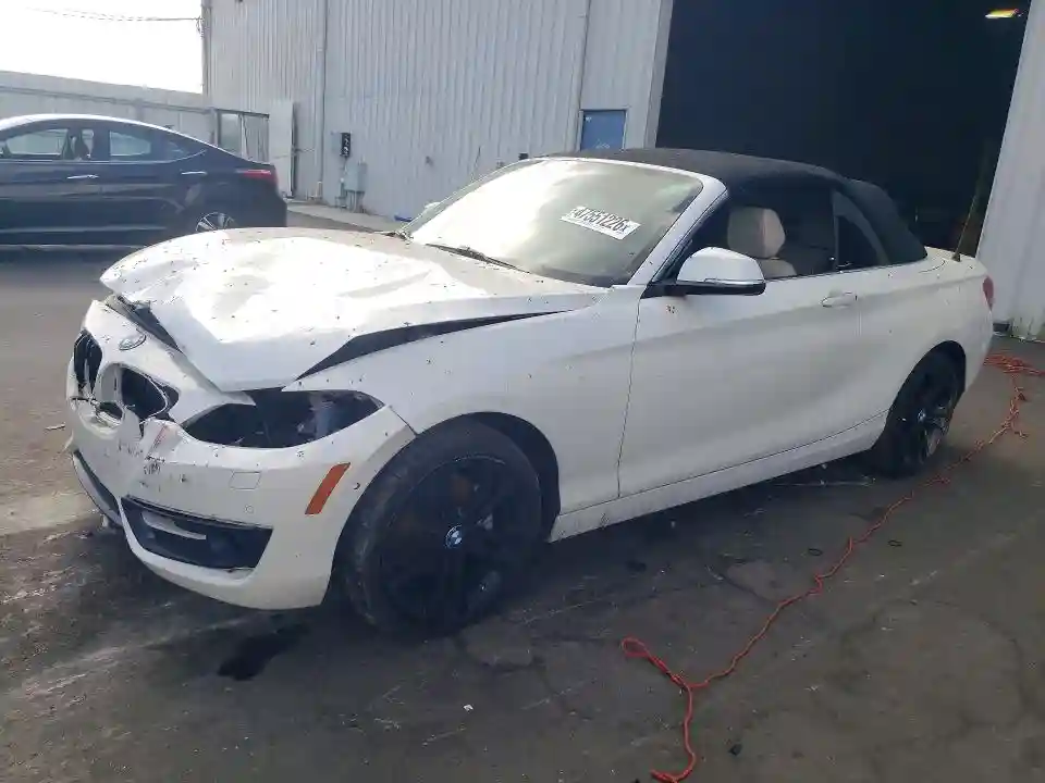 WBA1K9C59GV321748 2016 BMW 2 SERIES-0