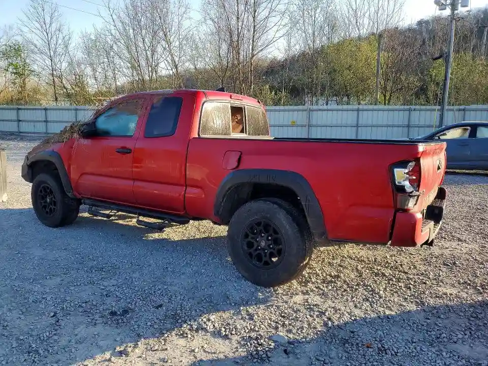 5TFSZ5AN1KX168245 2019 TOYOTA TACOMA-1