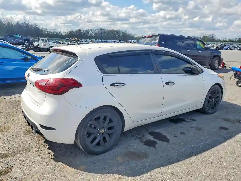 KNAFZ5A38F5265117 2015 KIA FORTE-2