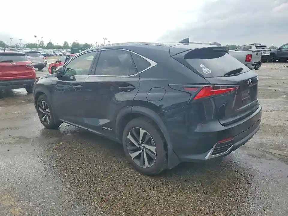 JTJGJRDZ1L2139245 2020 LEXUS NX-1