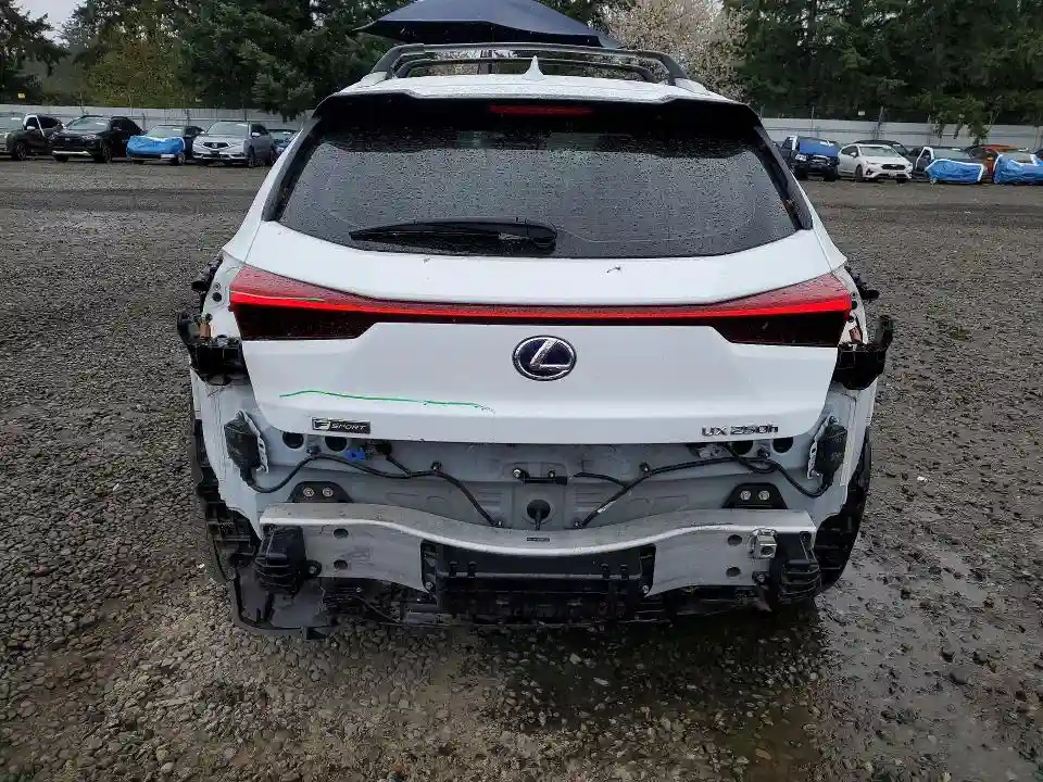 JTHR9JBHXM2052105 2021 LEXUS UX 250H-5