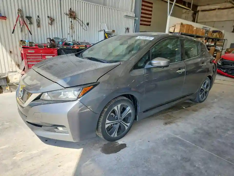 1N4AZ1CP7LC306355 2020 NISSAN LEAF-0