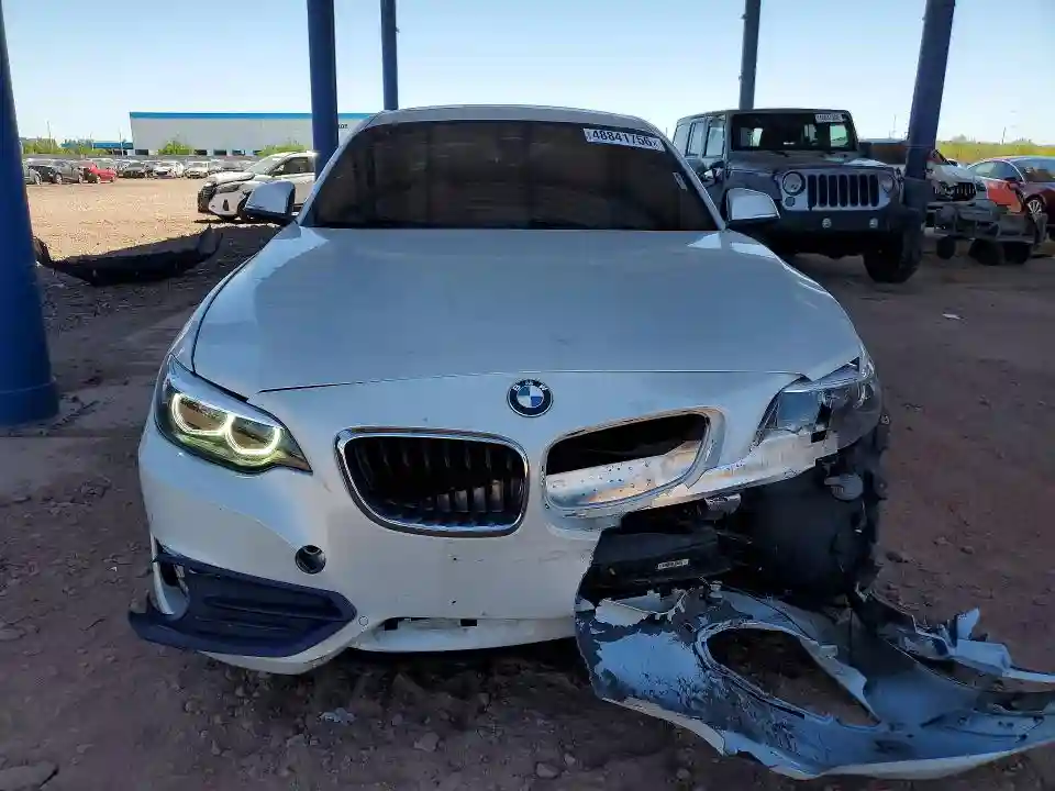 WBA2J3C54KVD49117 2019 BMW 2 SERIES-4