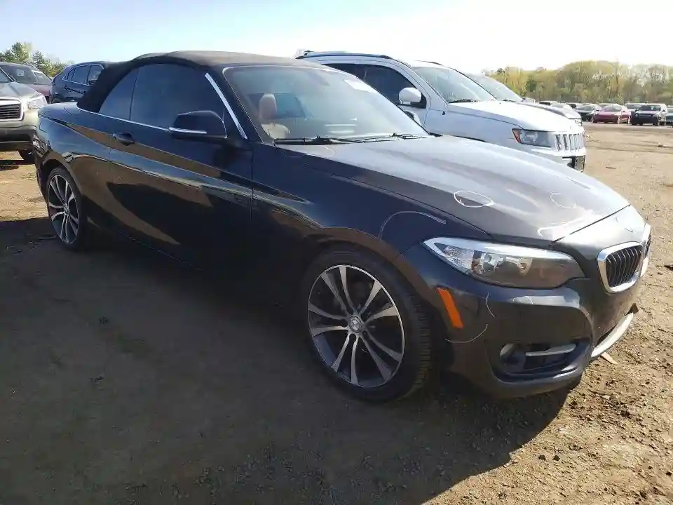 WBA1K5C50FV242850 2015 BMW 2 SERIES-3