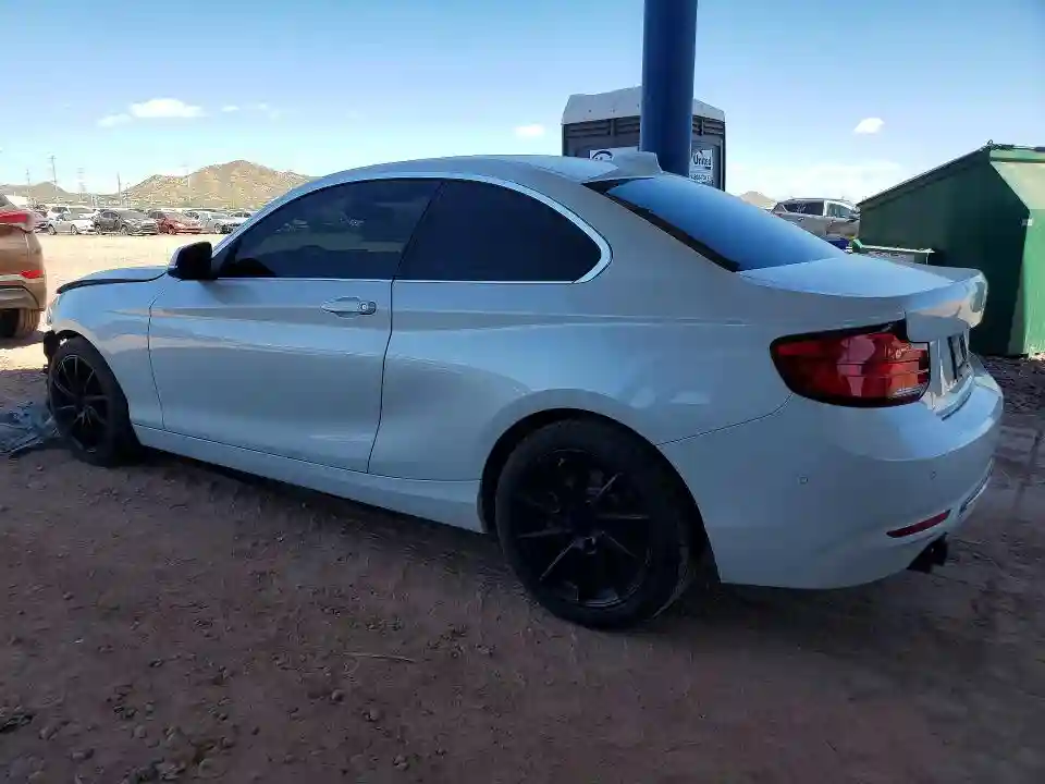 WBA2J3C54KVD49117 2019 BMW 2 SERIES-1