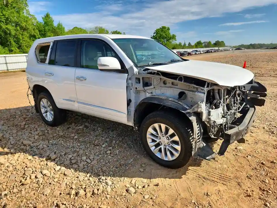 JTJBM7FX5H5156377 2017 LEXUS GX 460 BAS-3