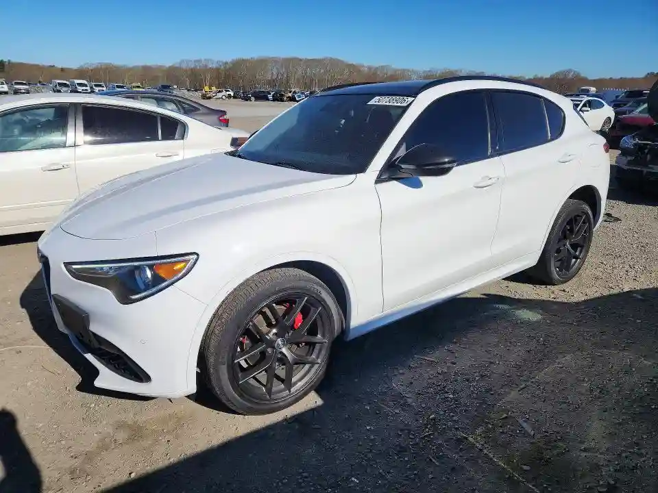 ZASPAKBN0M7D18494 2021 ALFA ROMEO STELVIO-0