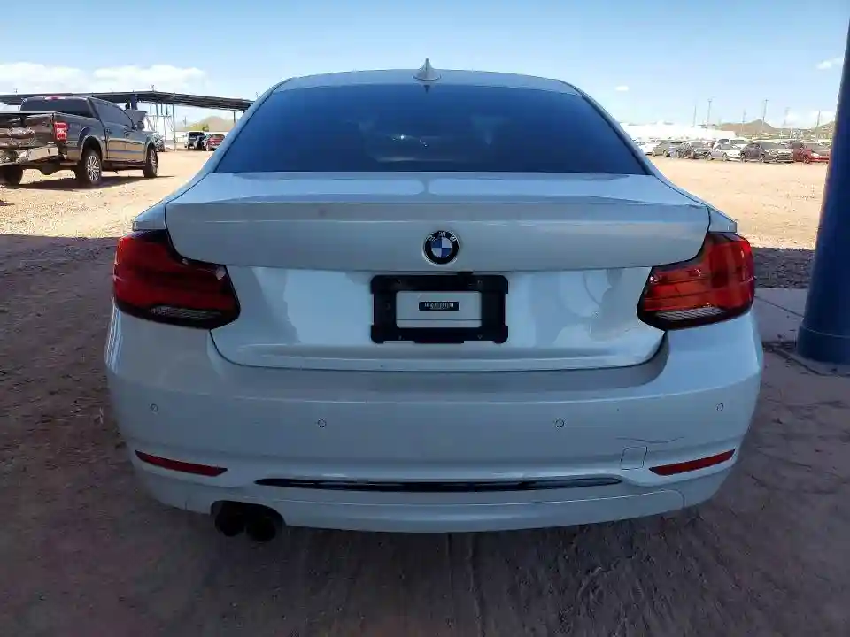 WBA2J3C54KVD49117 2019 BMW 2 SERIES-5