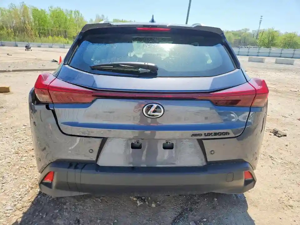 JTHUCJDH0S2011309 2025 LEXUS UX 300H-5