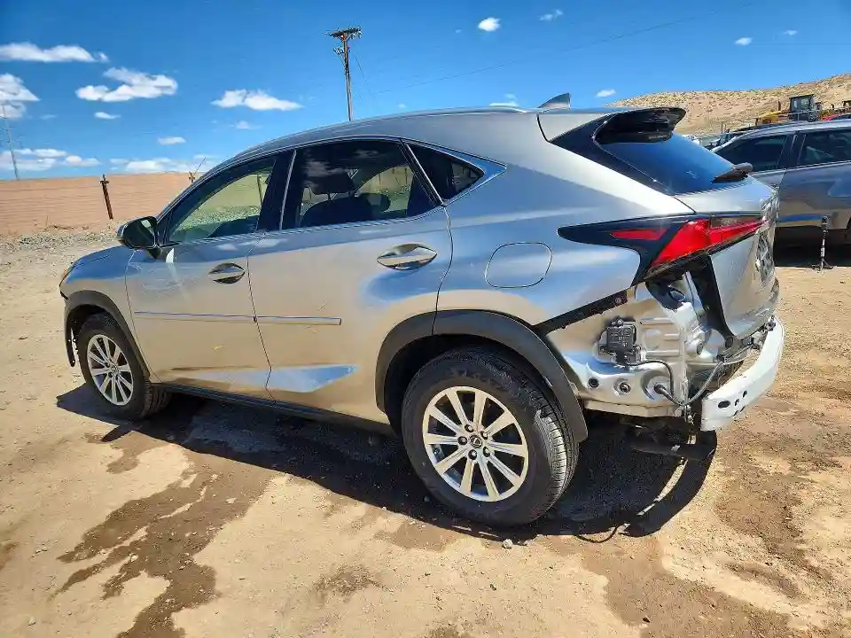 JTJDARDZ3L2236286 2020 LEXUS NX-1