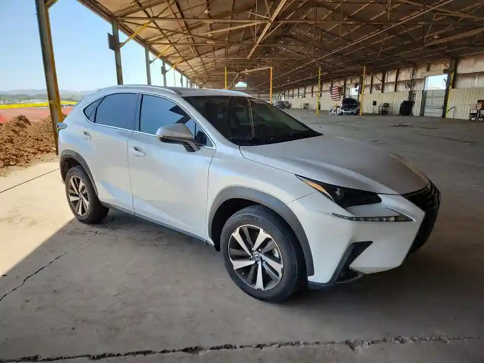 JTJDARBZXL5012000 2020 LEXUS NX-3