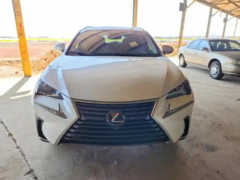 JTJDARBZXL5012000 2020 LEXUS NX-4
