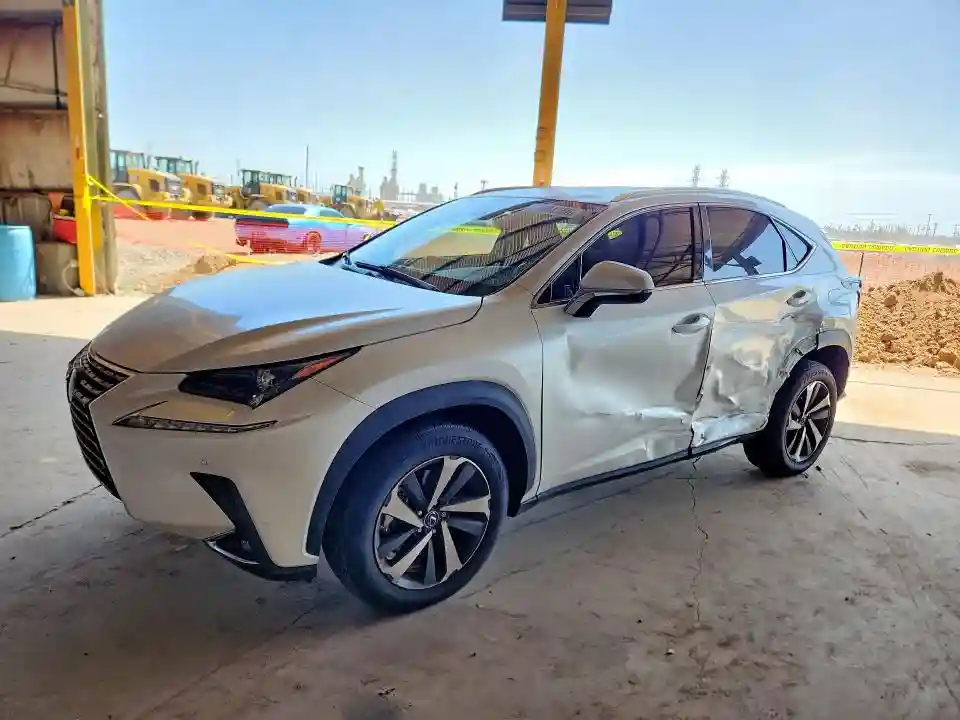 JTJDARBZXL5012000 2020 LEXUS NX-0