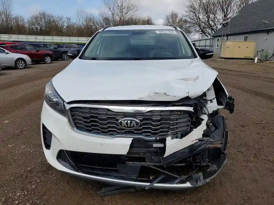 5XYPGDA59LG659771 2020 KIA SORENTO-4