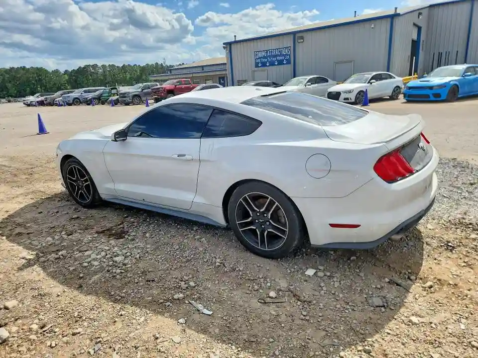 1FA6P8TH3K5169642 2019 FORD MUSTANG-1