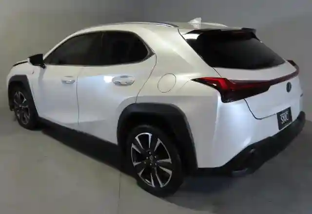 JTHY3JBH4K2014363 2019 LEXUS UX 200-3