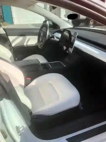 5YJ3E1EA2MF854372 2021 TESLA MODEL 3-4