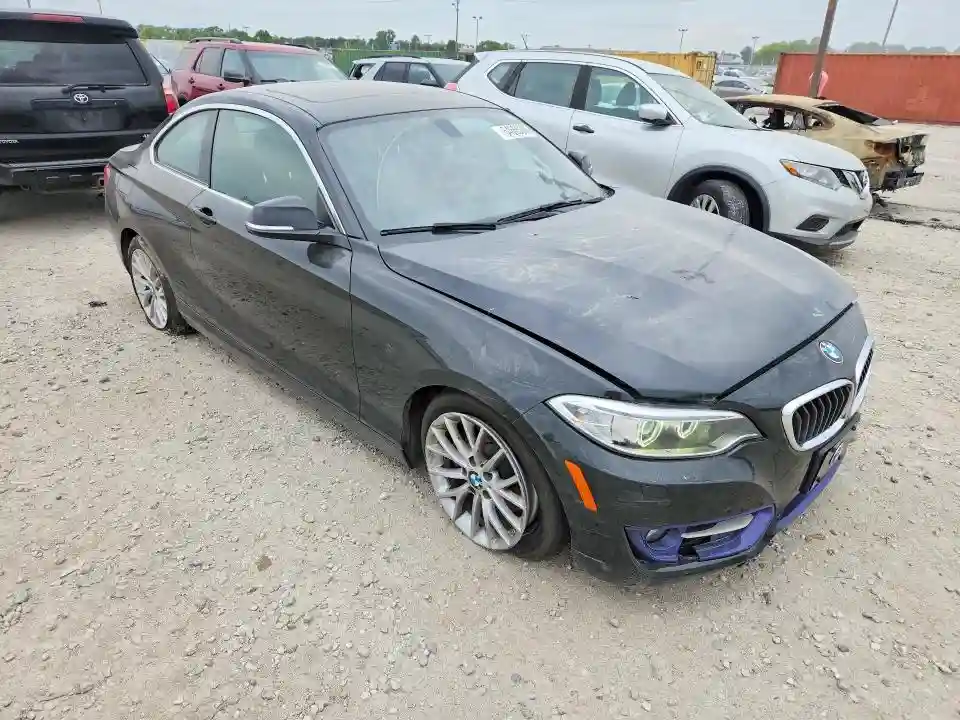 WBA1G9C51GV726651 2016 BMW 2 SERIES-3
