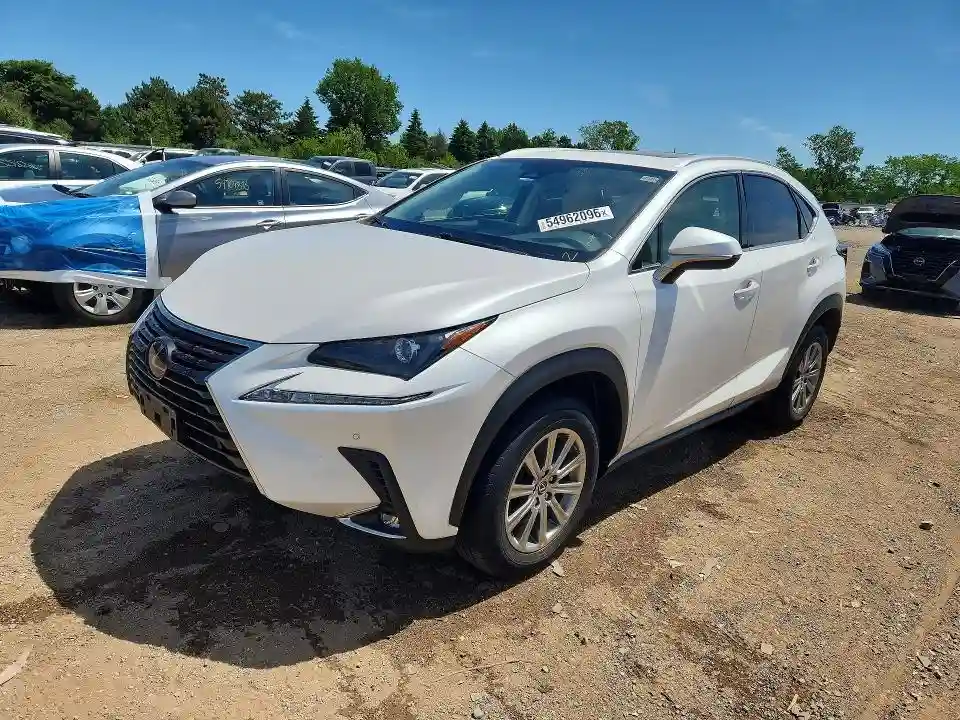 JTJDARDZ1L5015400 2020 LEXUS NX-0