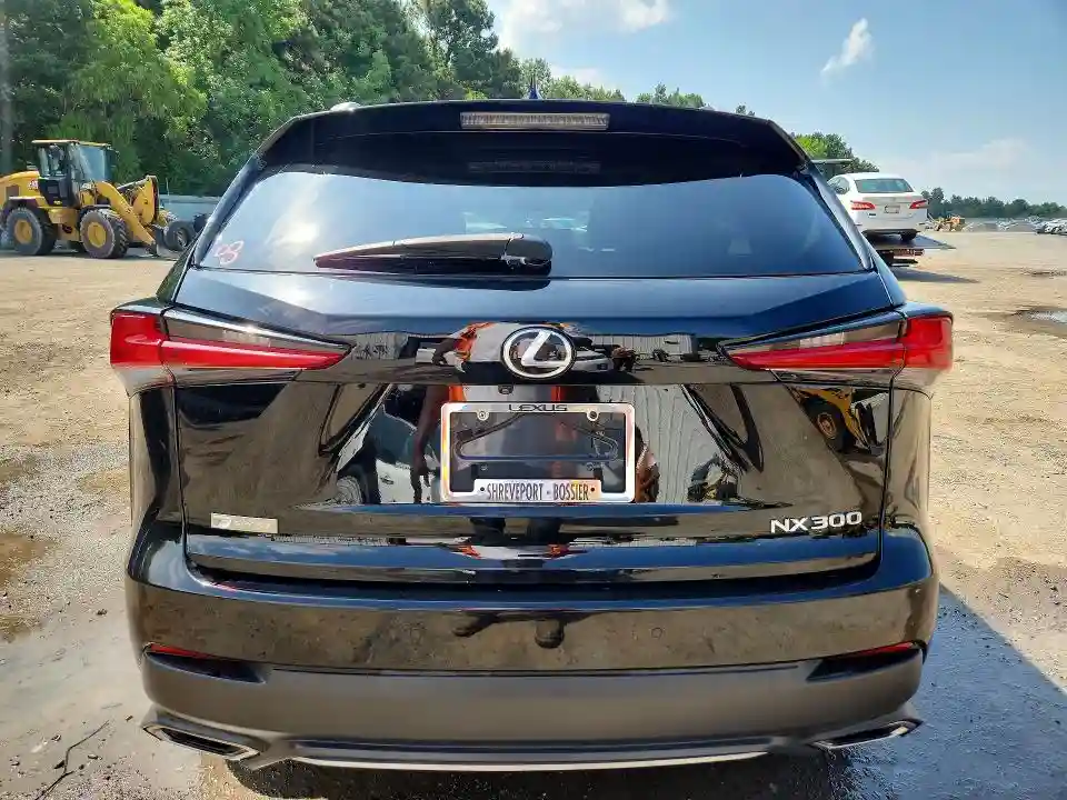 JTJYARBZ4K2126916 2019 LEXUS NX-5