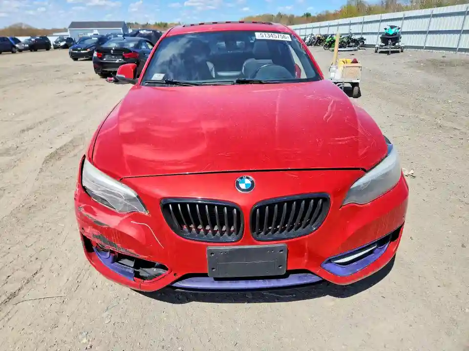 WBA1G9C5XGV599026 2016 BMW 2 SERIES-4