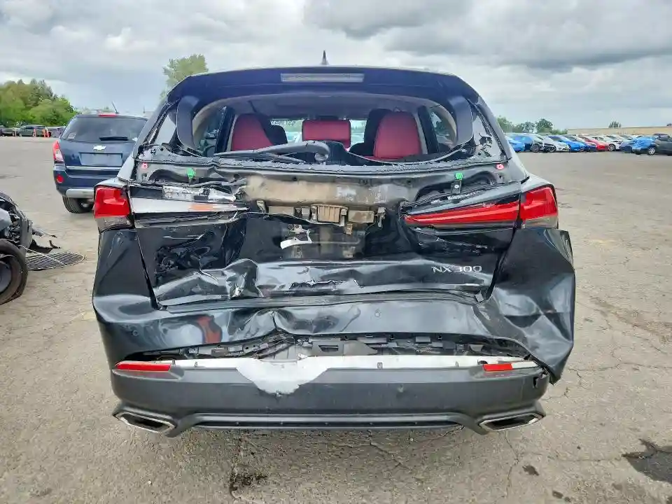 JTJDARDZ1L2223259 2020 LEXUS NX-5