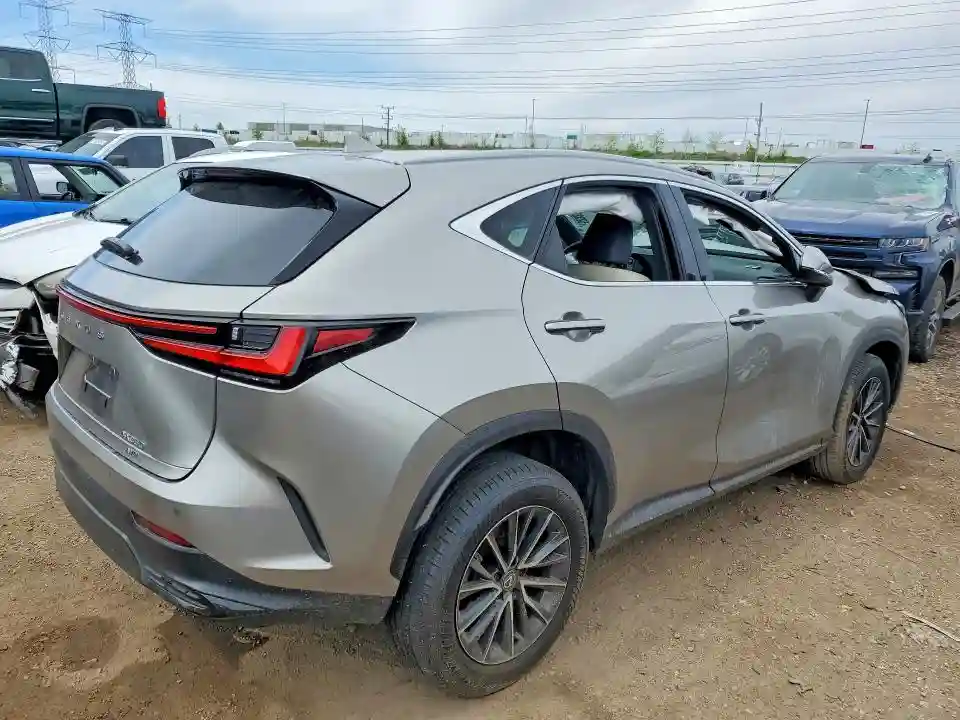 2T2GGCEZ3RC046875 2024 LEXUS NX-2