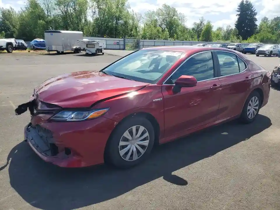 4T1B31HK1KU516788 2019 TOYOTA CAMRY-0