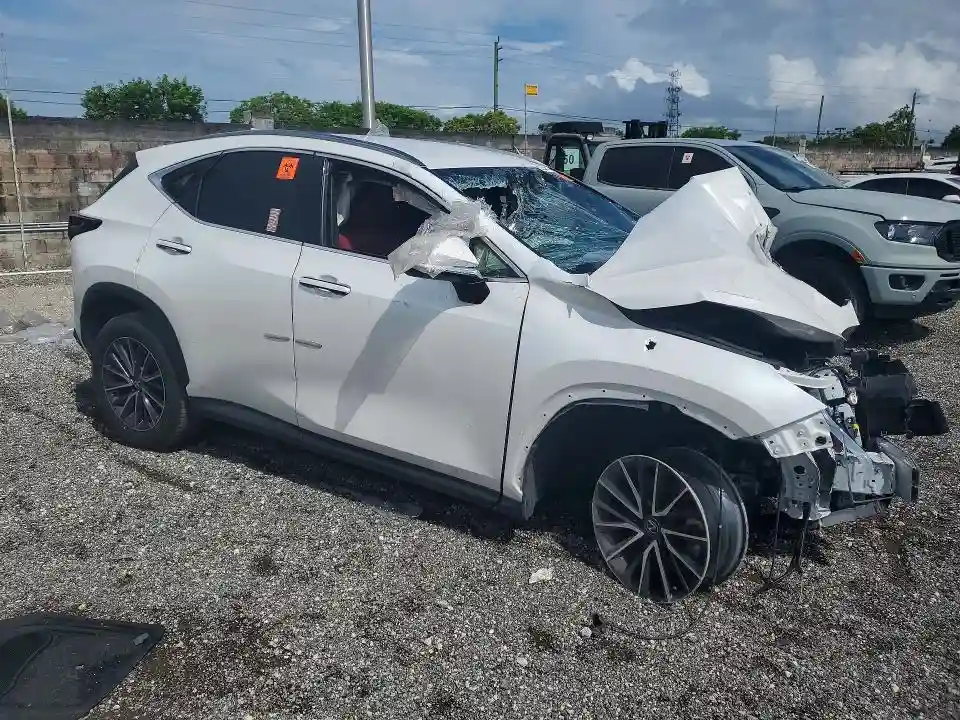 JTJADCAZ2S5024066 2025 LEXUS NX 250-3