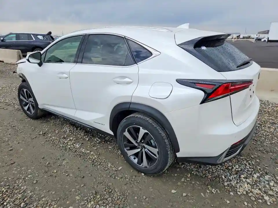 JTJGJRDZ8M5010659 2021 LEXUS NX-1