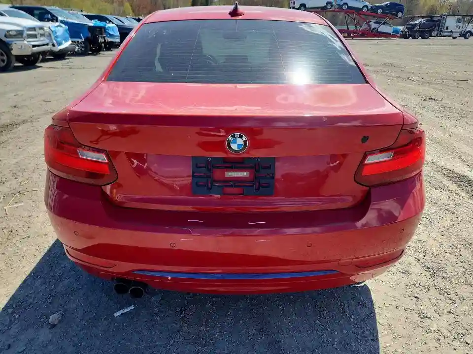 WBA1G9C5XGV599026 2016 BMW 2 SERIES-5