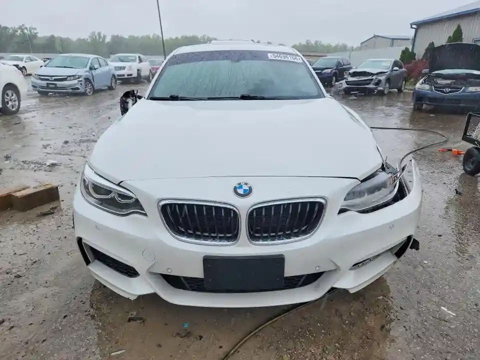 WBA1G9C51GV727041 2016 BMW 2 SERIES-4
