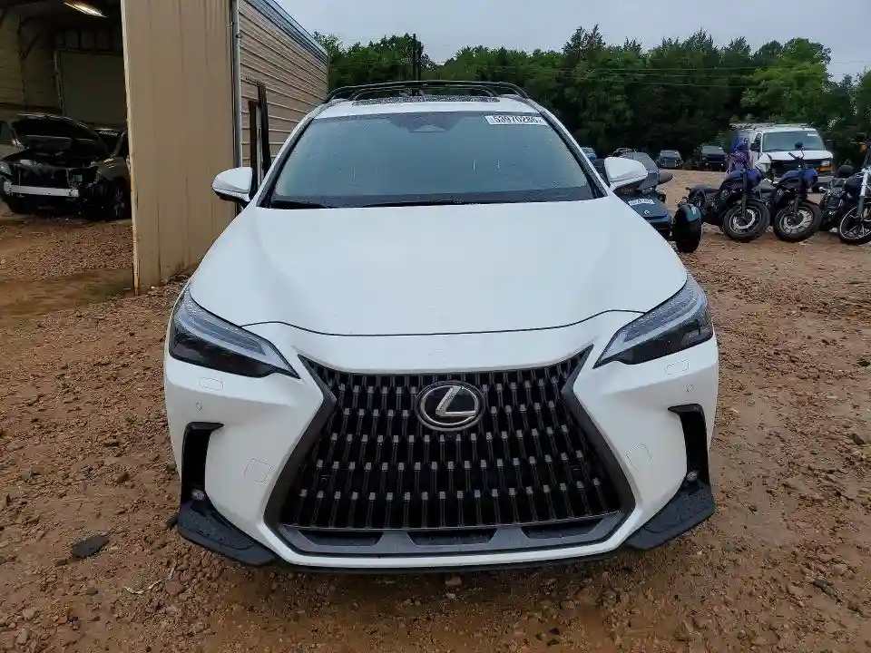 JTJHGCEZ6S2022578 2025 LEXUS NX-4
