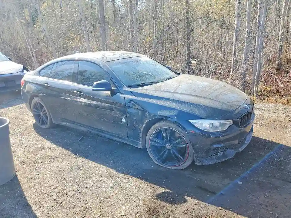 WBA4B3C57FD669613 2015 BMW 4 SERIES-3